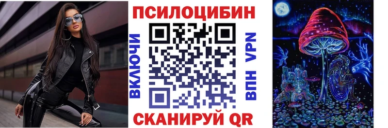 Псилоцибиновые грибы мицелий  Пересвет 