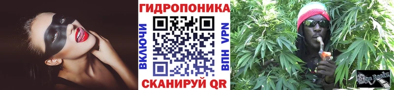 Бошки марихуана конопля Пересвет